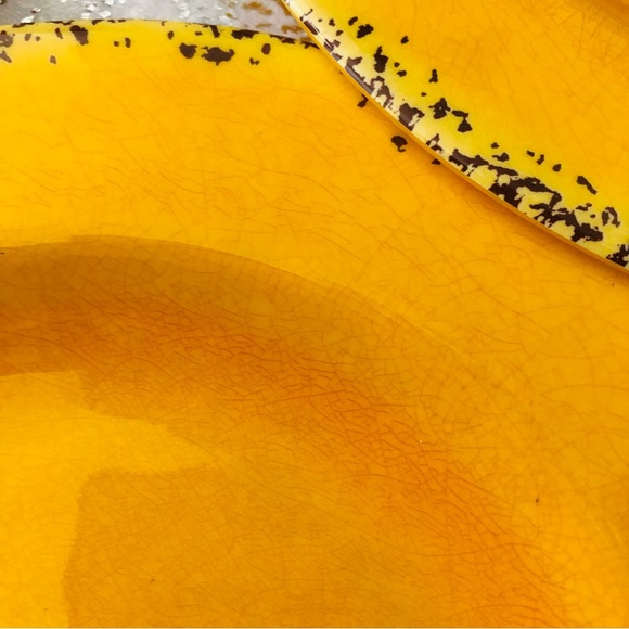 $5 SALE! NWT Set of 4 ASHLAND 8.5” Summer Fiesta Intentional Crackle Plates - Picture 4 of 5